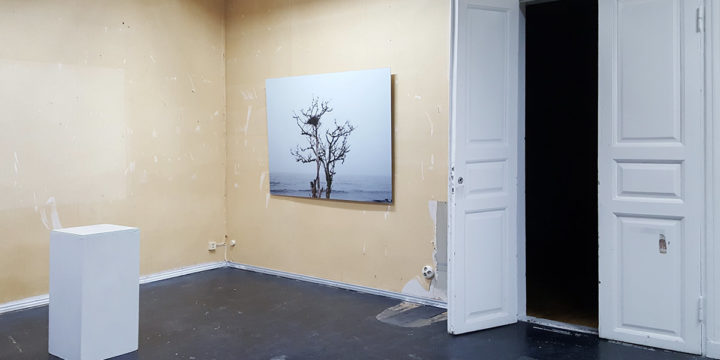 Julia Weckman mukana Taiteilijakollektiivi Kunstin näyttelyssä Unconstruction Site Galleria Lapinlahdessa 9.-27.1.2019